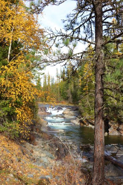 Yaak Falls. Photo by LibbyMT.com.