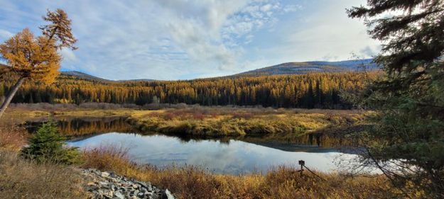 Yaak River. Photo by LibbyMT.com.