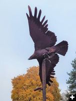 Todd Berget eagle. Photo by LibbyMT.com.