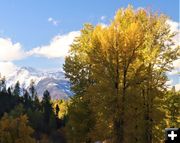 Cabinets. Photo by LibbyMT.com.