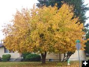 In Libby. Photo by LibbyMT.com.