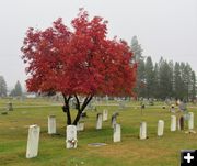 Military graves. Photo by LibbyMT.com.