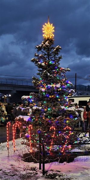 Libby's Christmas tree. Photo by LibbyMT.com.