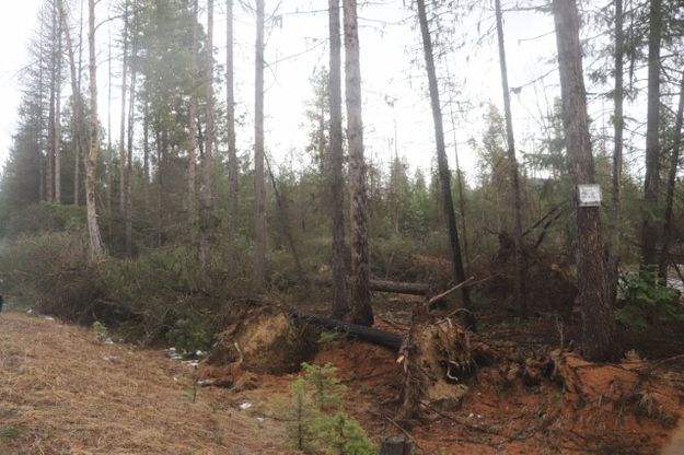 Bear Creek. Photo by LibbyMT.com.