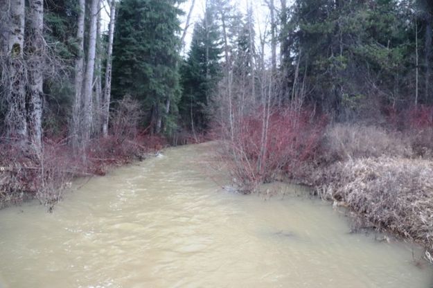 West Fisher . Photo by LibbyMT.com.