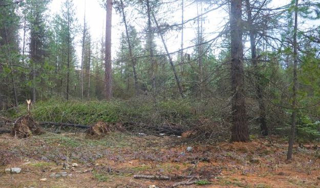 Bear Creek Ski Area. Photo by LibbyMT.com.