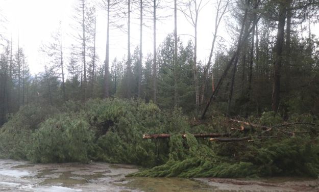 Bear Creek. Photo by LibbyMT.com.