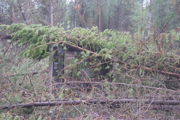 Bear Creek. Photo by LibbyMT.com.