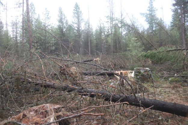 Bear Creek . Photo by LibbyMT.com.