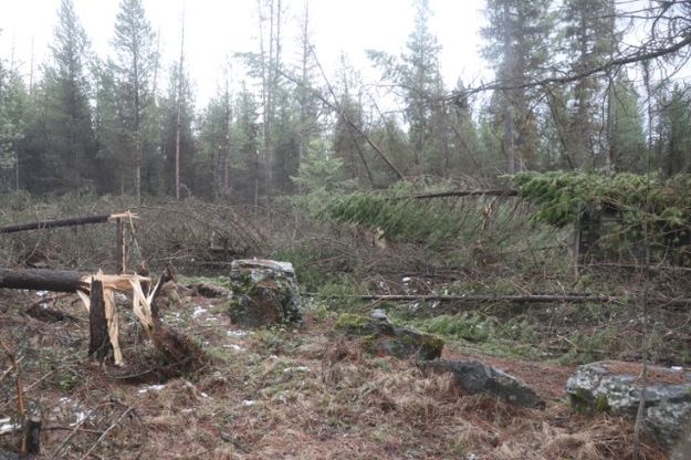 Bear Creek. Photo by LibbyMT.com.