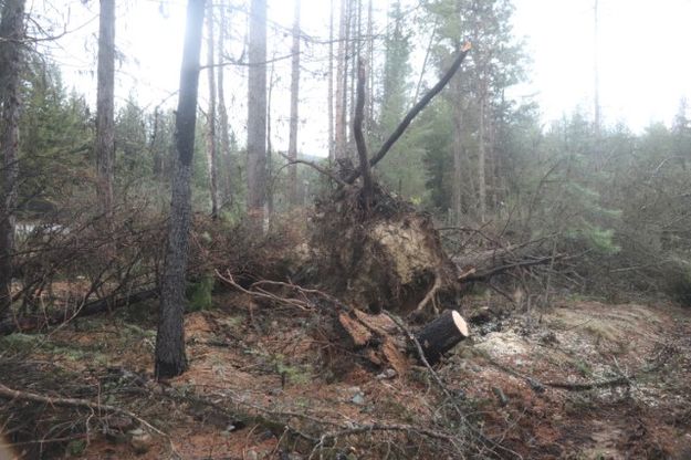 Bear Creek. Photo by LibbyMT.com.