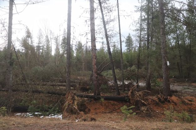 Bear Creek . Photo by LibbyMT.com.