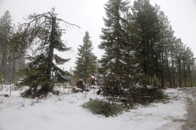 Farm to Market. Photo by LibbyMT.com.