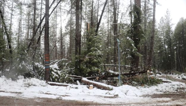 Farm to Market. Photo by LibbyMT.com.