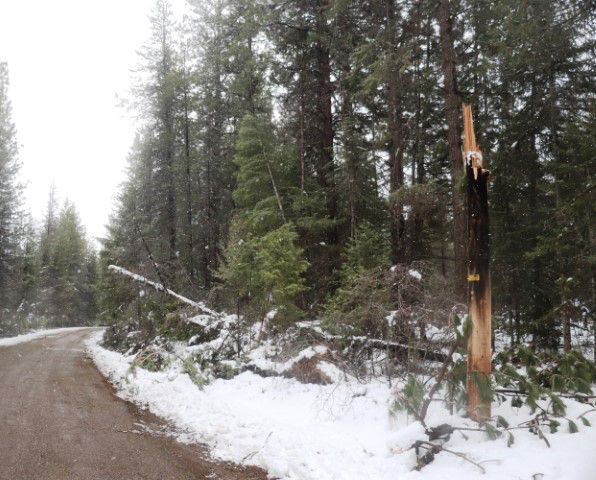 Farm to Market. Photo by LibbyMT.com.