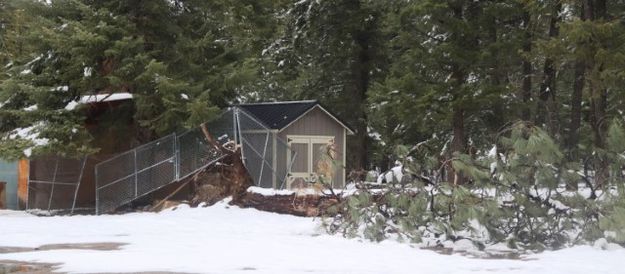 Farm to Market. Photo by LibbyMT.com.