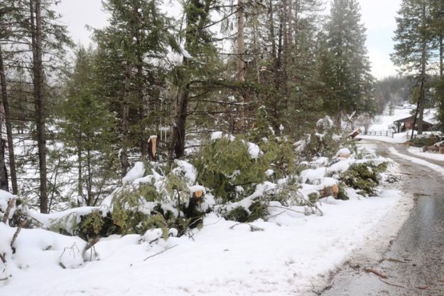 Farm to Market. Photo by LibbyMT.com.