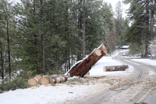 Farm to Market. Photo by LibbyMT.com.