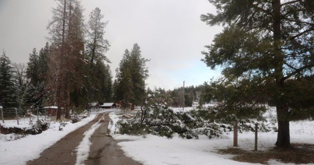 Farm to Market. Photo by LibbyMT.com.