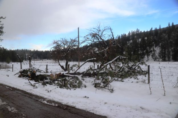 Farm to Market. Photo by LibbyMT.com.