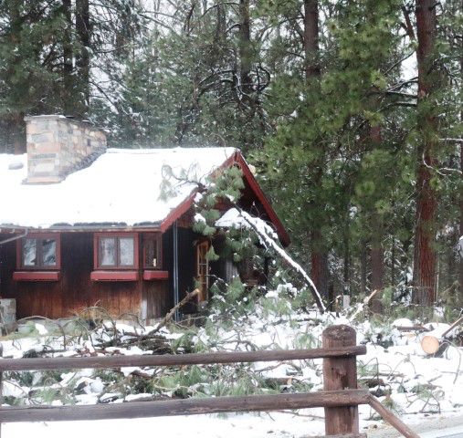 Farm to Market. Photo by LibbyMT.com.