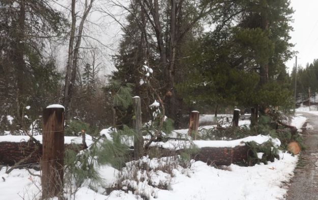 Farm to Market. Photo by LibbyMT.com.