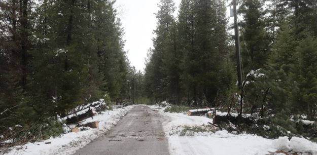 Farm to Market. Photo by LibbyMT.com.