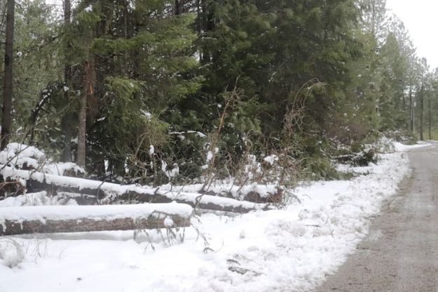 Farm to Market. Photo by LibbyMT.com.