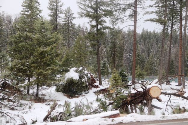 Highway 2. Photo by LibbyMT.com.