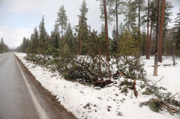 Highway 2. Photo by LibbyMT.com.