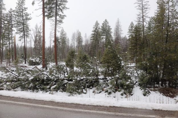 Highway 2. Photo by LibbyMT.com.