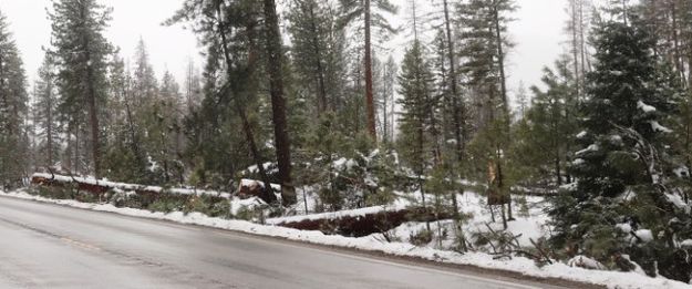 Highway 2. Photo by LibbyMT.com.