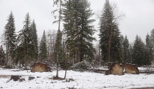 By Libby Elementary School. Photo by LibbyMT.com.