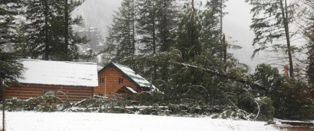 Kootenai River Road. Photo by LibbyMT.com.