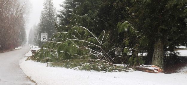 River Road. Photo by LibbyMT.com.