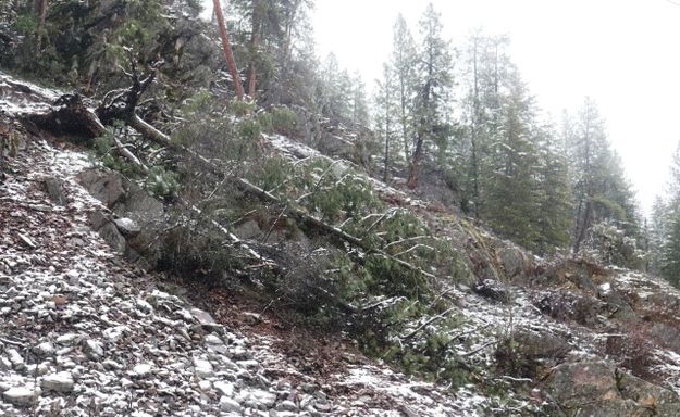 River Road. Photo by LibbyMT.com.