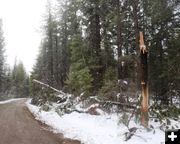 Farm to Market. Photo by LibbyMT.com.