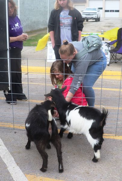 El Rio Ponies (and goats) . Photo by LibbyMT.com.