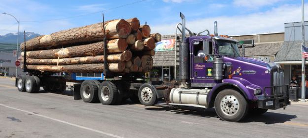 Martin Logging. Photo by LibbyMT.com.