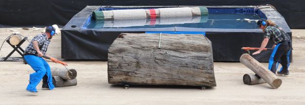 Logs in place. Photo by LibbyMT.com.