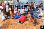 Sawdust Dig. Photo by LibbyMT.com.