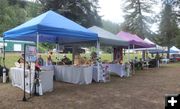 Vendors under the trees. Photo by LibbyMT.com.