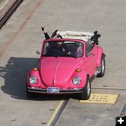 A very pink Bug. Photo by LibbyMT.com.