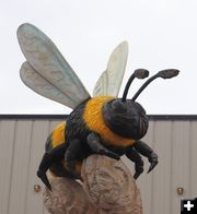 The bee. Photo by LibbyMT.com.