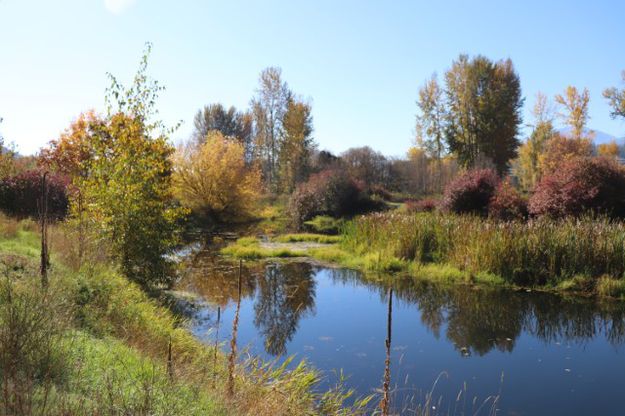 Mill pond. Photo by LibbyMT.com.