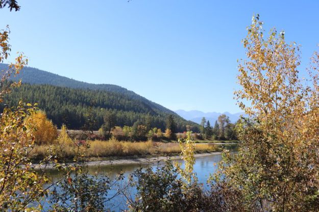 Kootenai River. Photo by LibbyMT.com.