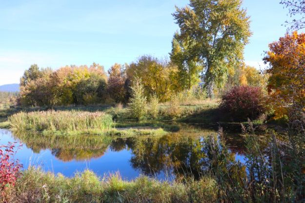 Mill pond. Photo by LibbyMT.com.