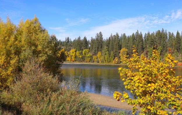 <center>Fall colors on the</center> <center>Kootenai River</center>. Photo by LibbyMT.com.
