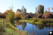 Mill pond. Photo by LibbyMT.com.