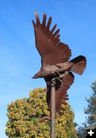 Todd Berget's eagle. Photo by LibbyMT.com.